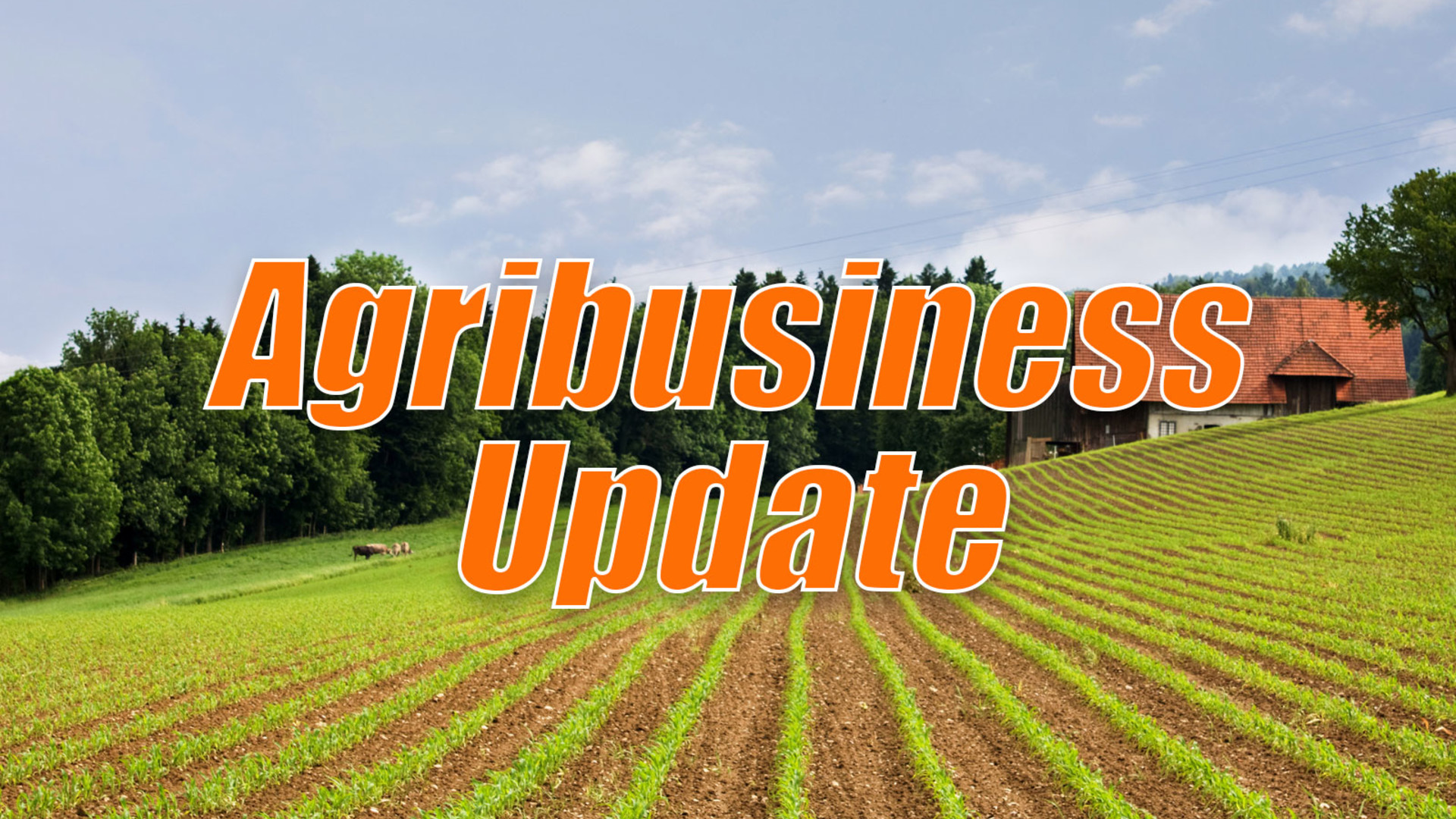 HPAI Found In Georgia Flock and SCOTUS Hears Roundup Case