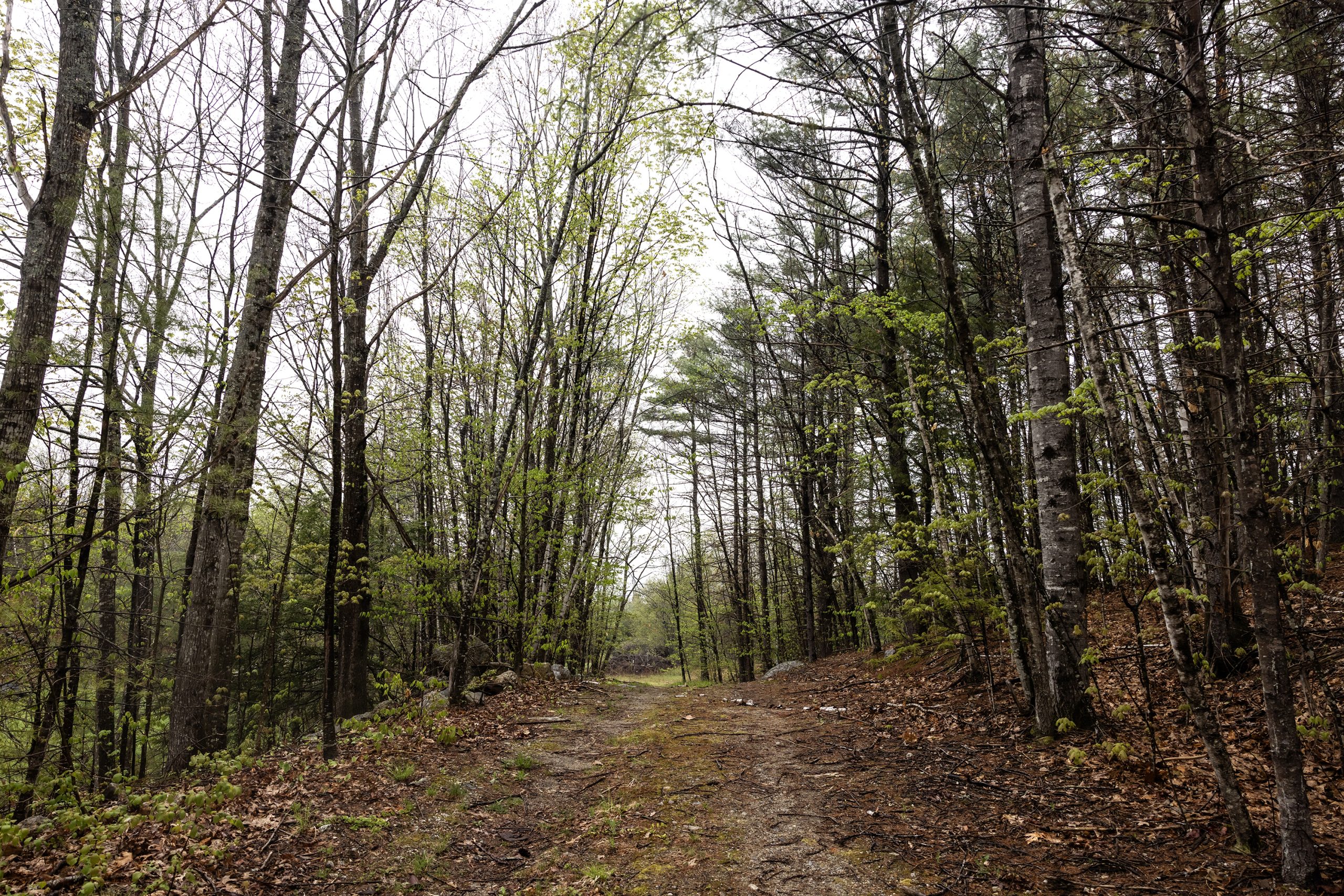 The pure wilderness of NH – Concord Monitor